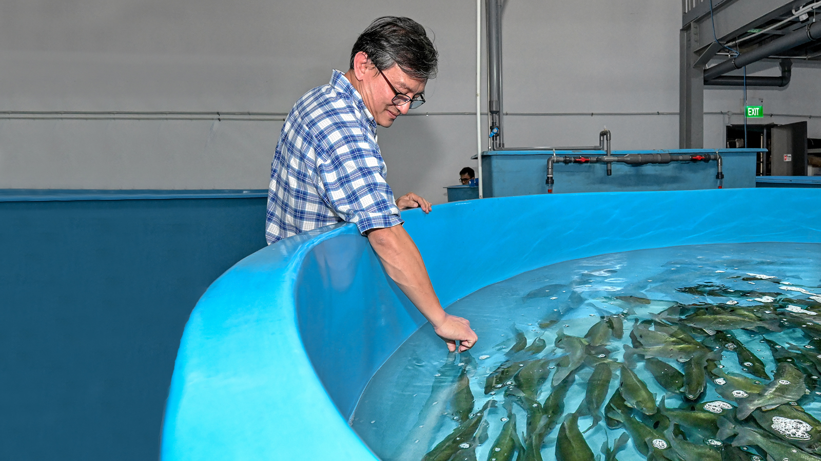 What inspired you to transition from engineering and electronics to aquaculture? Image