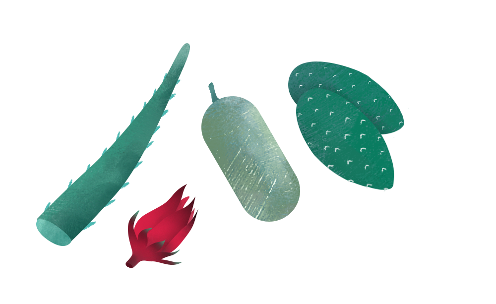 Cultivates crops like edible cactuses, aloe vera, roselle and winter melons