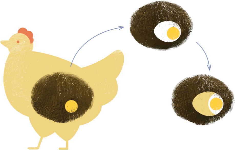 NN - Egg white and egg yolk
