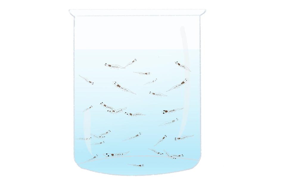 Blue Aqua International Illustration 1