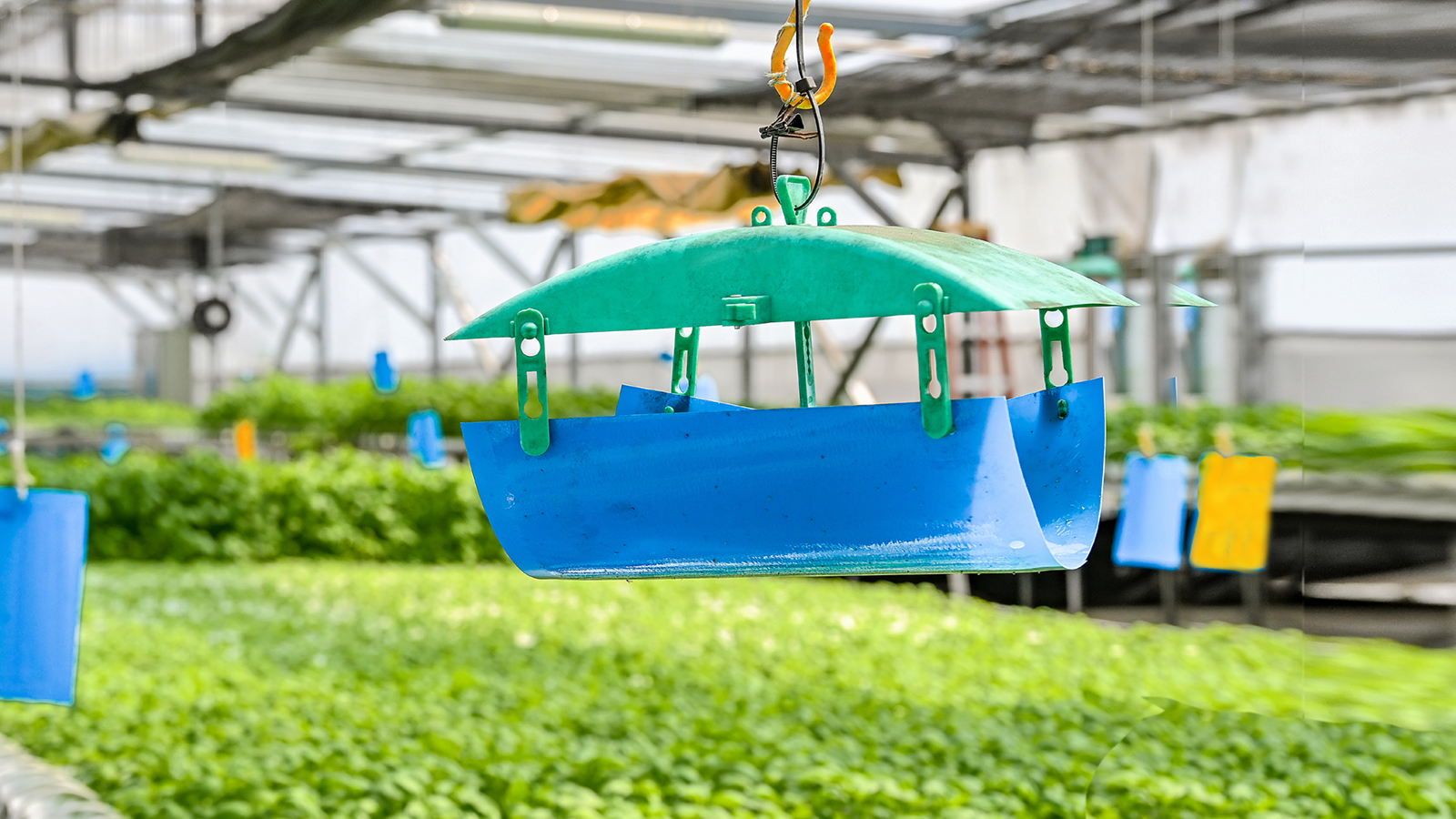 ComCrop - Committed to pesticide-free produce