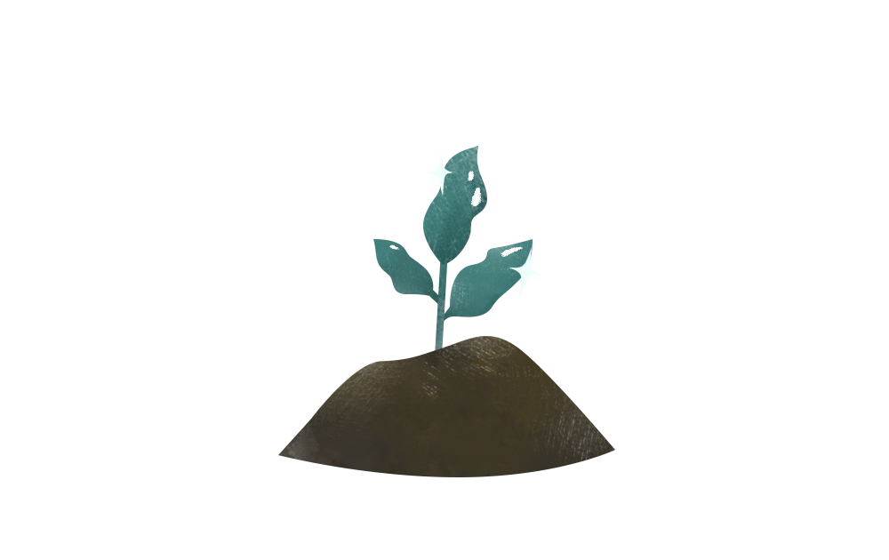 ComCrop - People should pick their vegetables based on how they’re grown