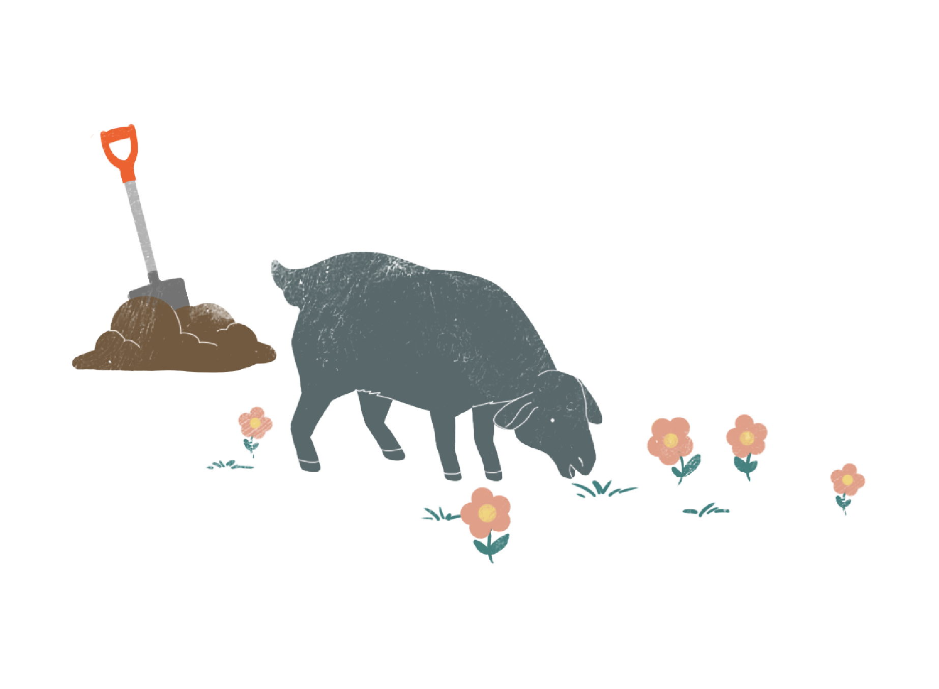 Hay Dairies - repurpose goat waste into compost