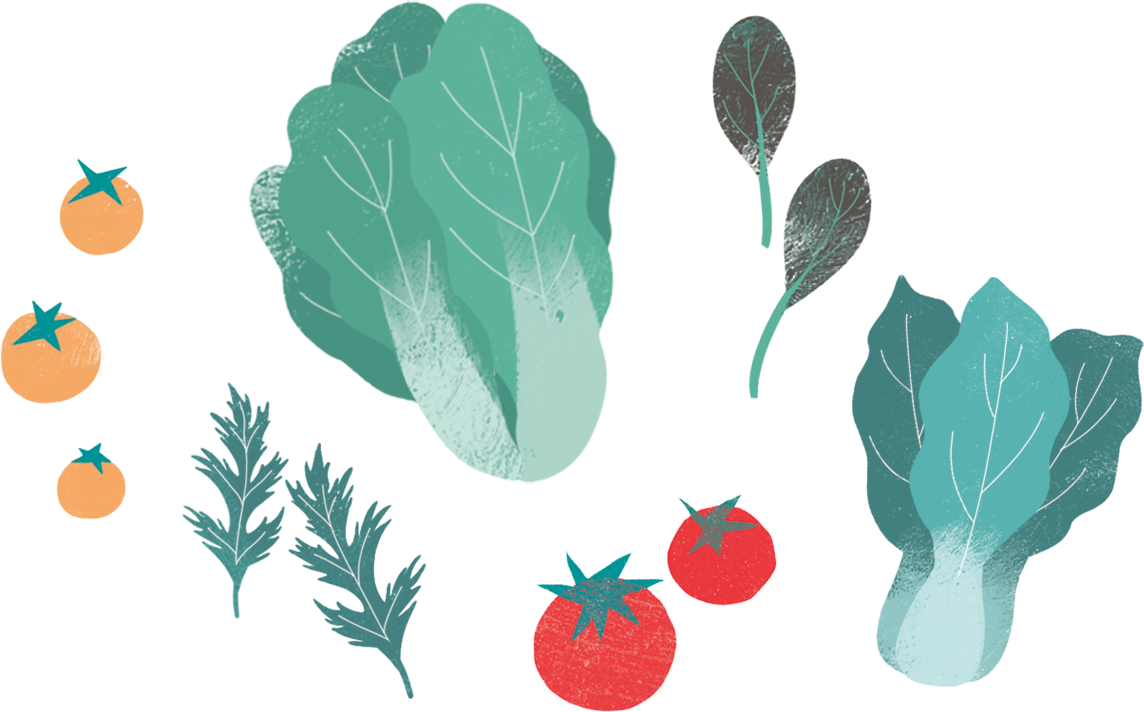 MEOD - plant vegetable willy-nilly
