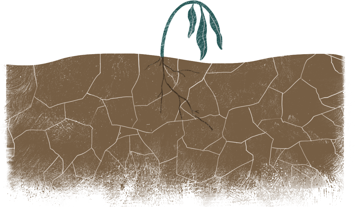 MEOD - loss of arable land