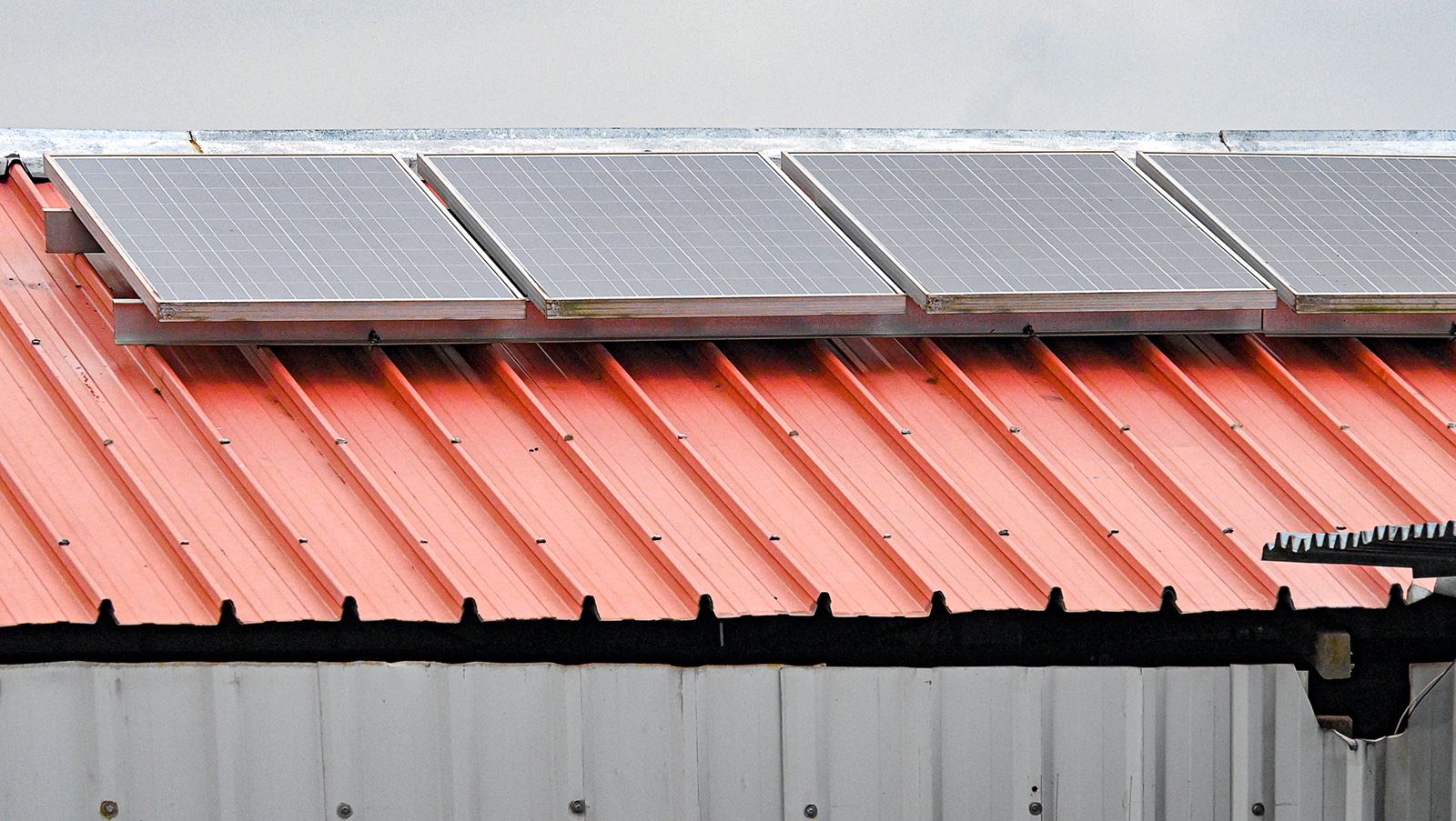 The Fish Farmer - Tradition supplemented by technology