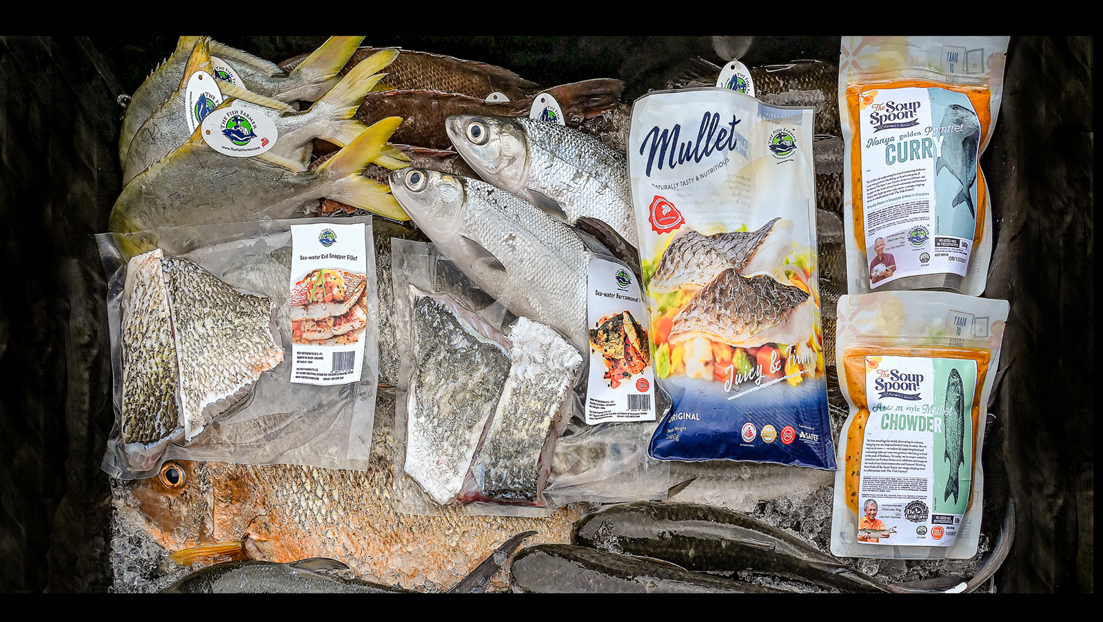 The Fish Farmer - Fish products for the future