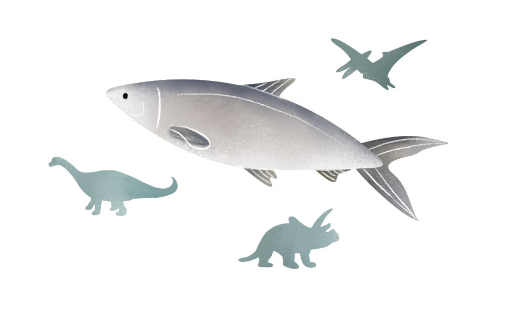 The Fish Farmer - Milkfish have been around for millennia