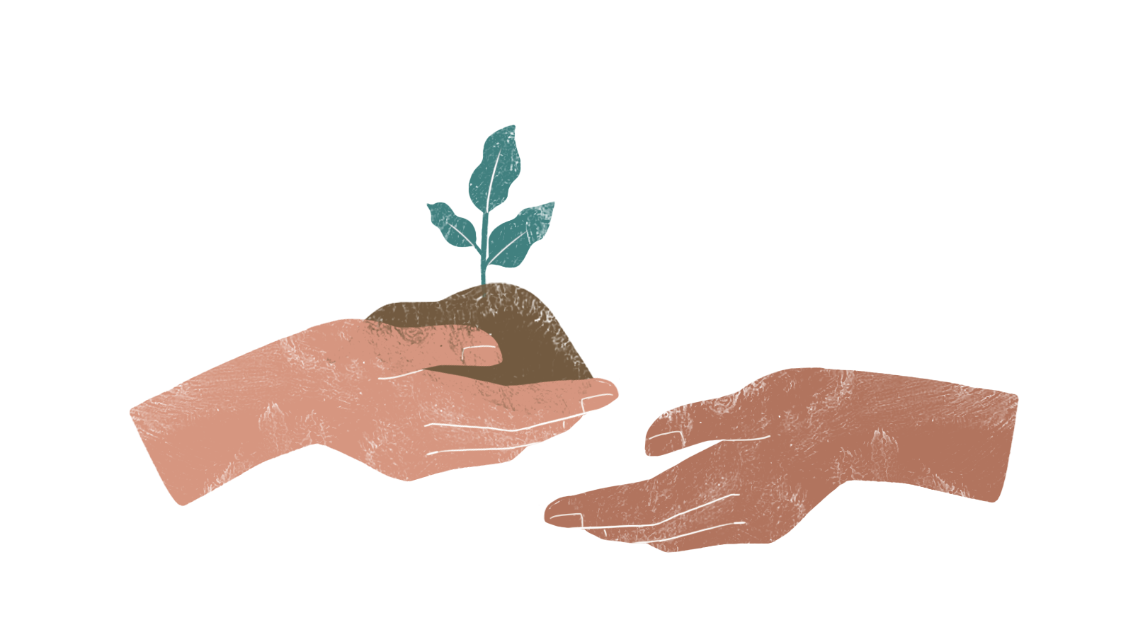 Netatech - CrowdFarmX