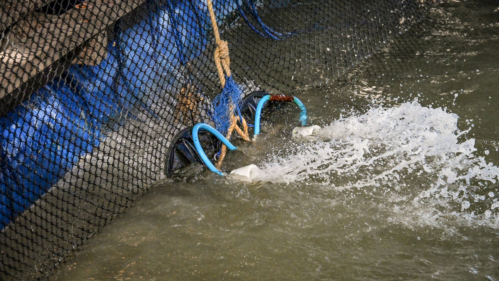 Prime Aqua Sea Farm - Harnessing technology