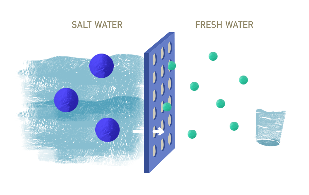 Prime Aqua Sea Farm - The farm is equipped with a seawater treatment system