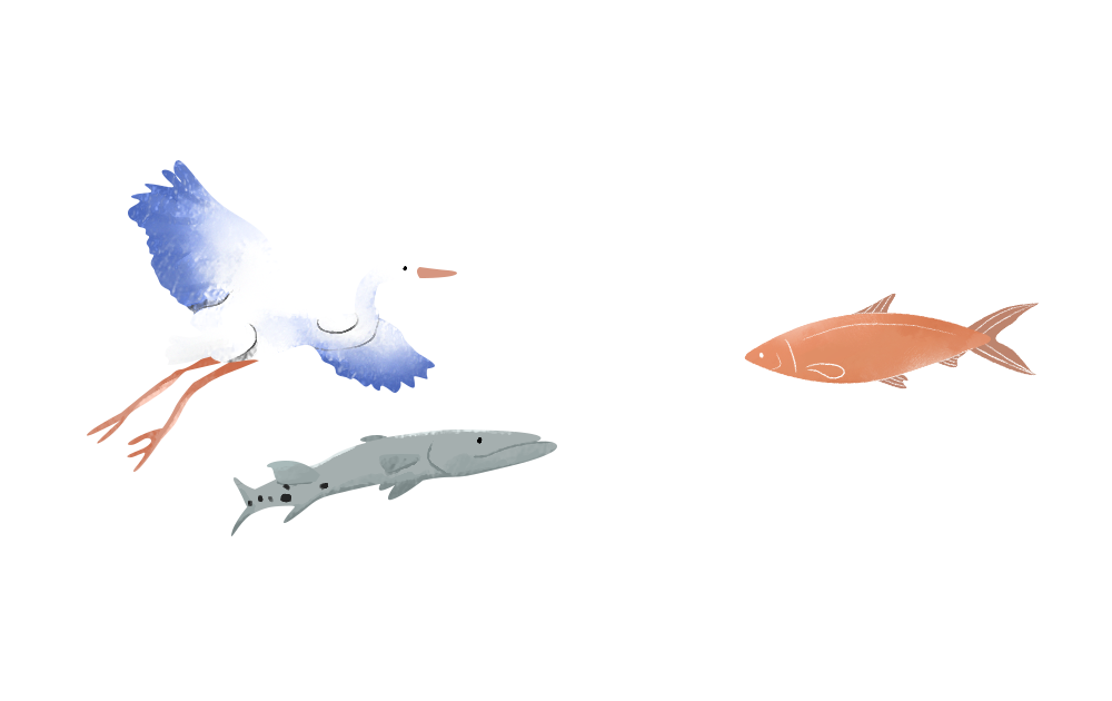 Prime Aqua Sea Farm - Nets are employed to keep the fishes safe from natural predators.