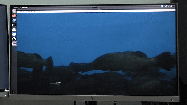 Sensors and Sensibilities
