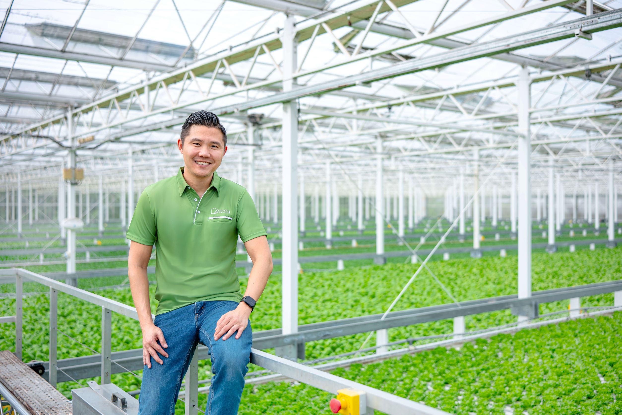 Green Harvest - Dave Huang 1