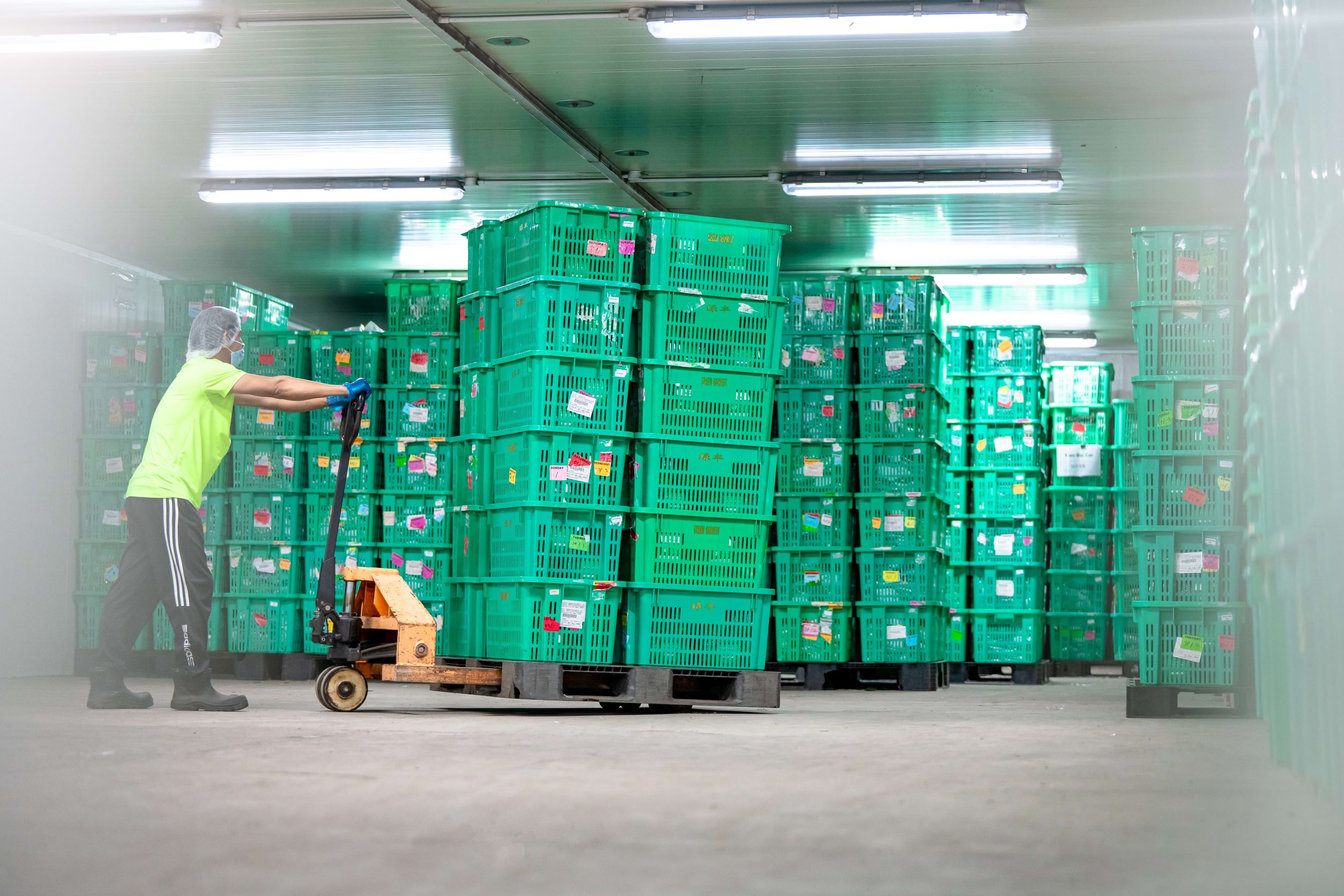 Green Harvest - Storage