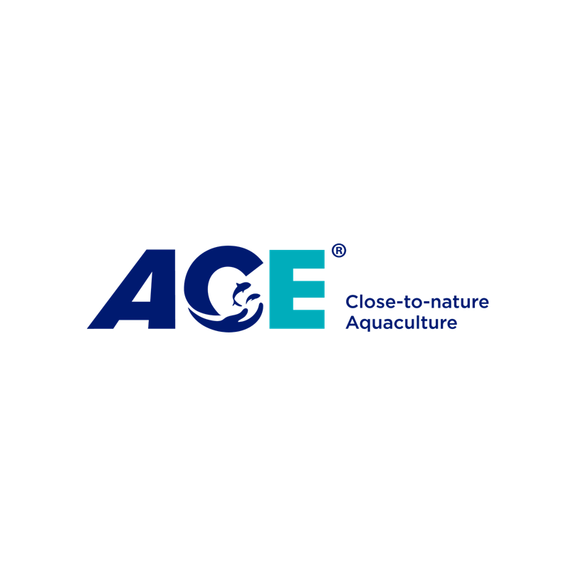 ACE (New) Logo