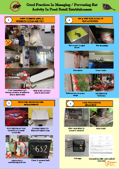 Managing and Preventing Rat Activity in Food Retail Establishments_Page 1