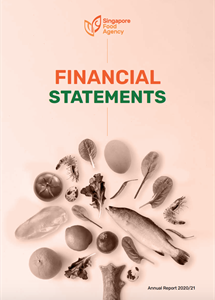 Financial Report 2020/2021