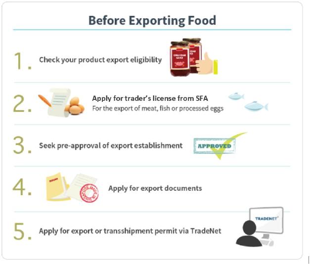 Infographic on Steps to Export Food